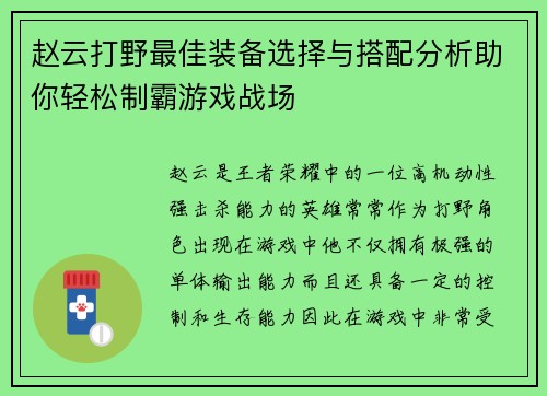 赵云打野最佳装备选择与搭配分析助你轻松制霸游戏战场